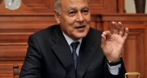 احمد ابو الغيط