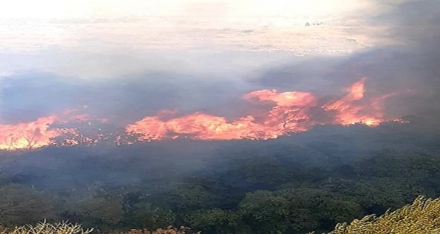 fire-1-810x430