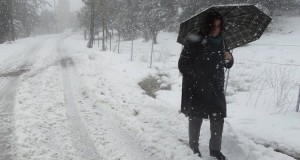 weather(19)