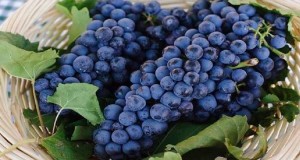 Grape