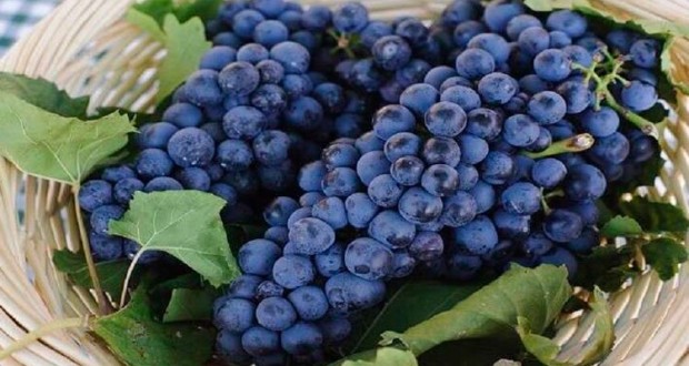 Grape