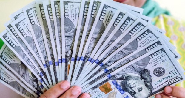 dollar(16)