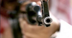 gun(3)