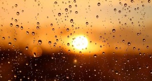 WEATHER