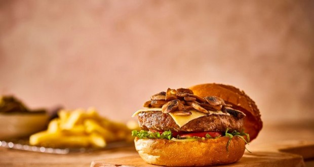 burger(1)