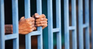 prison(3)