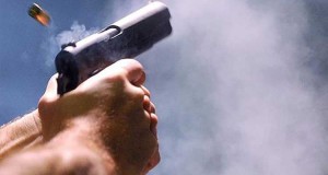 gun(4)