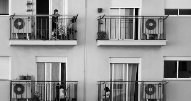 Neighbour