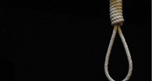 suicide(3)