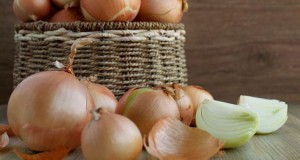 onion(1)