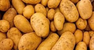 بطاطا