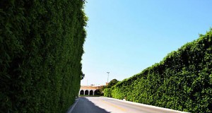 بعبدا